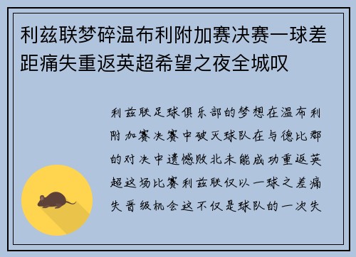 利兹联梦碎温布利附加赛决赛一球差距痛失重返英超希望之夜全城叹
